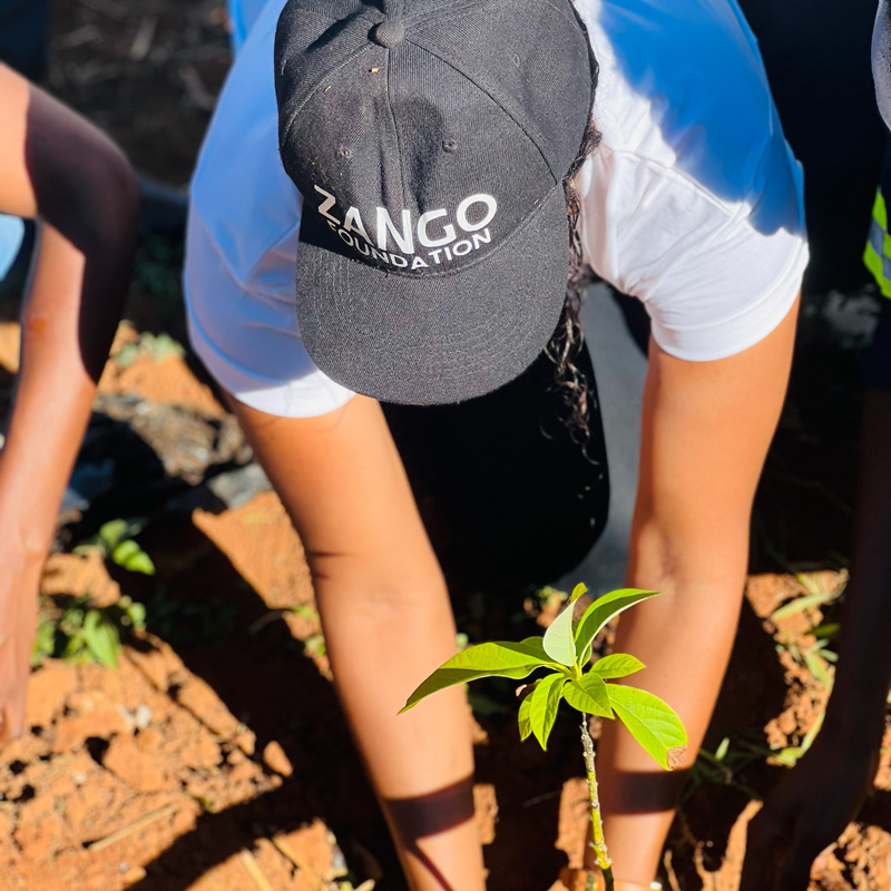 Environmental Sustainability